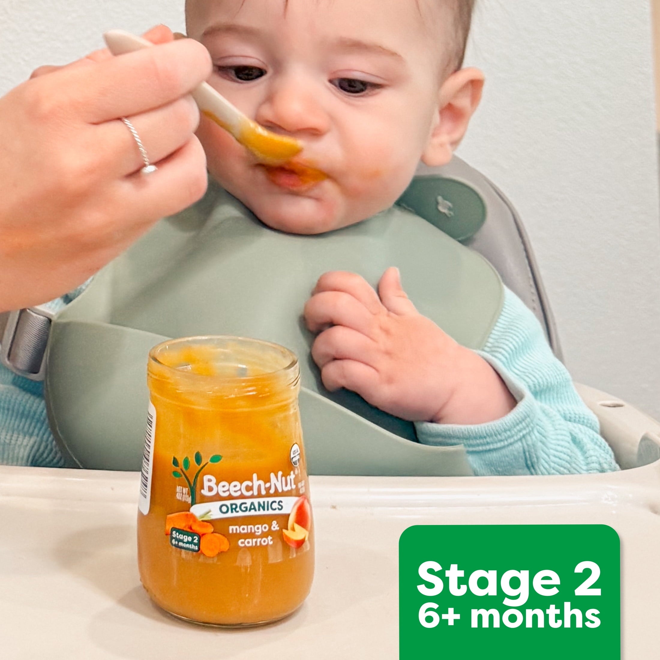 (10 pack) Beech-Nut Organics Stage 2 Organic Baby Food, Apple Pumpkin & Granola, 4 oz Jar